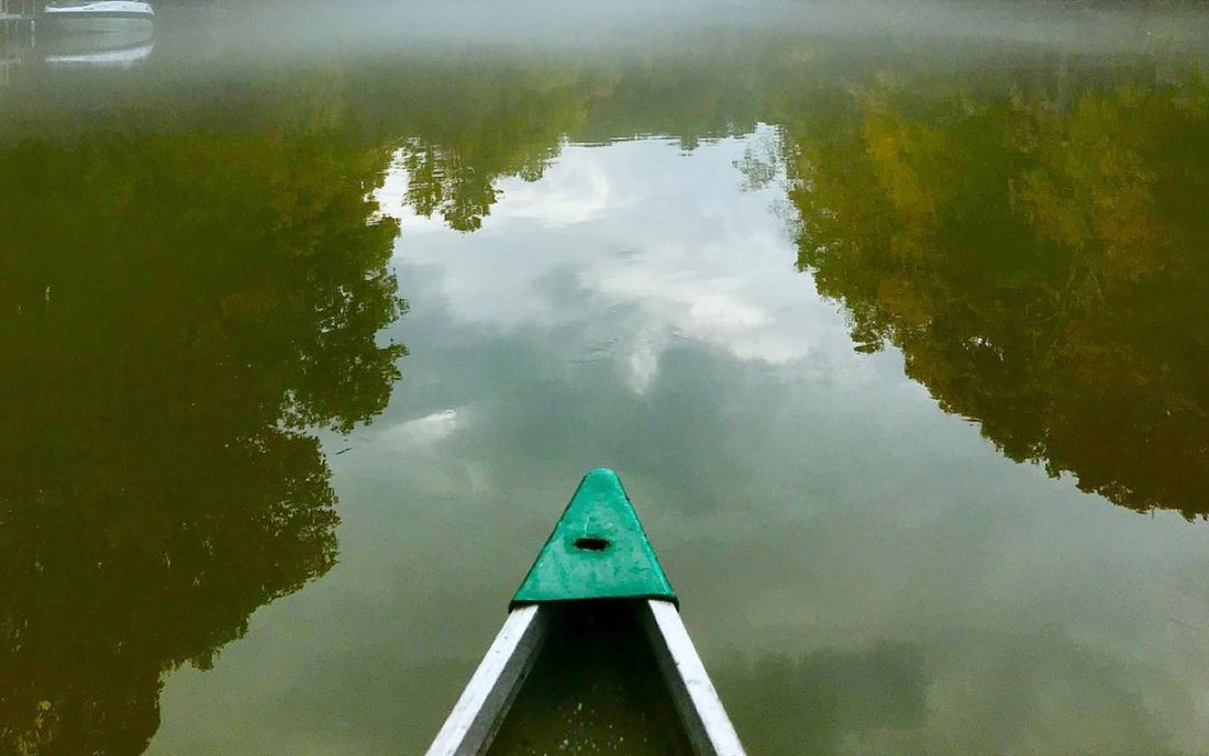 a morning paddle on the lower Humber river in Toronto - summer days