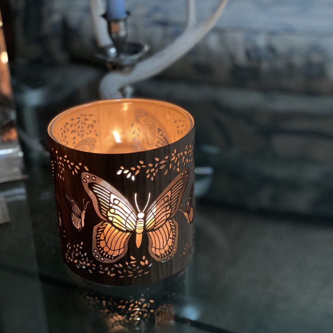 The Butterfly Lantern