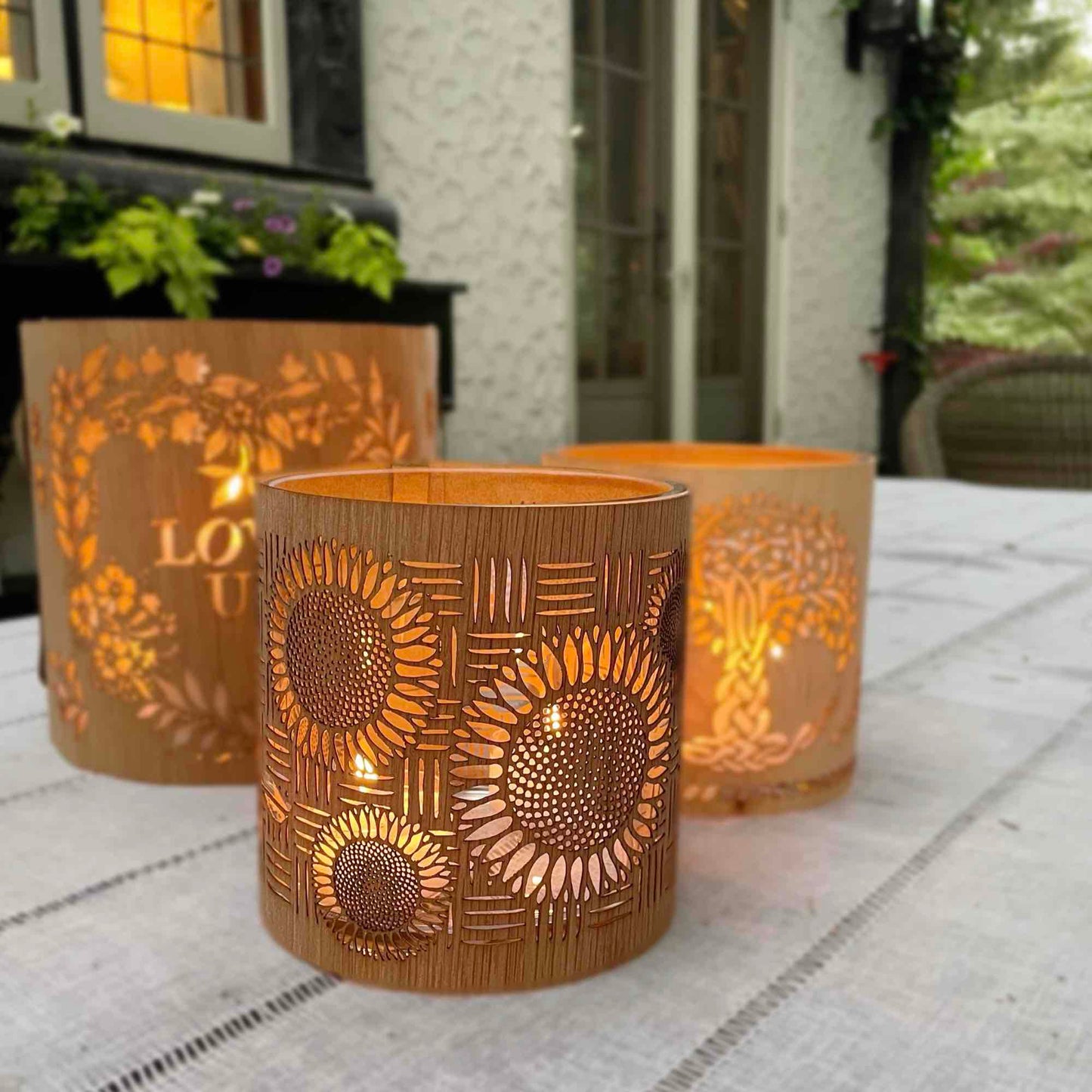 The Sunflower - the Fibonacci sequence perfected in candle light.